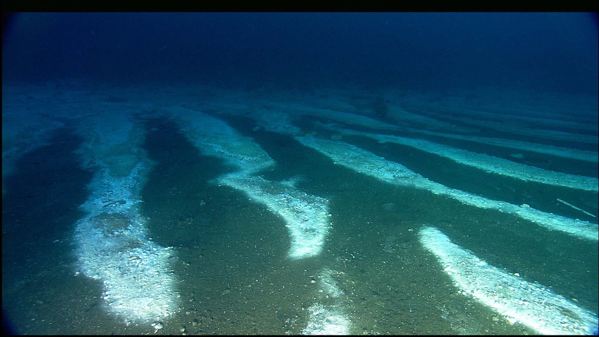 70 дней в океане. Галоклин Тихого и Атлантического океана. Дно черного моря сероводород. Подводная река на дне черного моря. Подводная река в чёрном море.